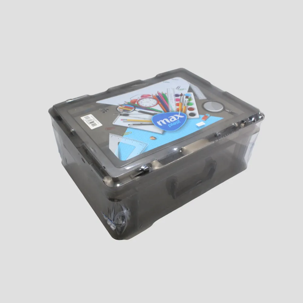 Black Transparent Lunch Box