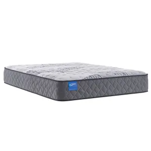 Hatchell Firm Mattress