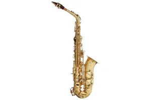 Stagg WS-AS215 Eb Alto Saxophone with Case